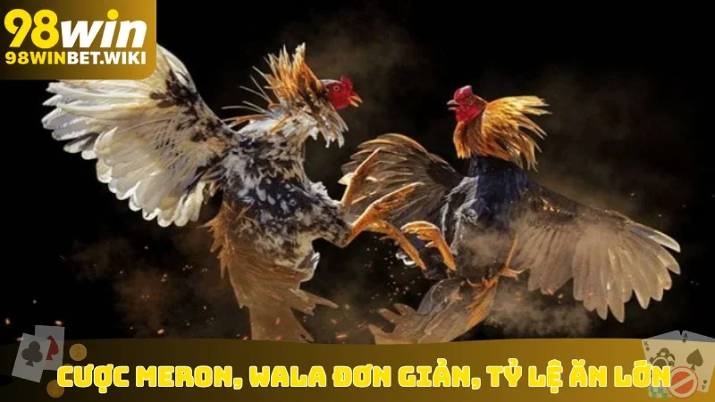 Cược Meron, Wala đơn giản, tỷ lệ ăn lớn