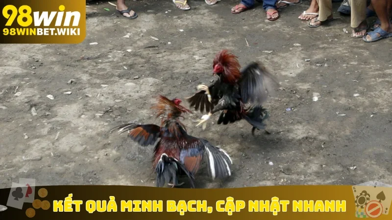 Kết quả minh bạch, cập nhật nhanh